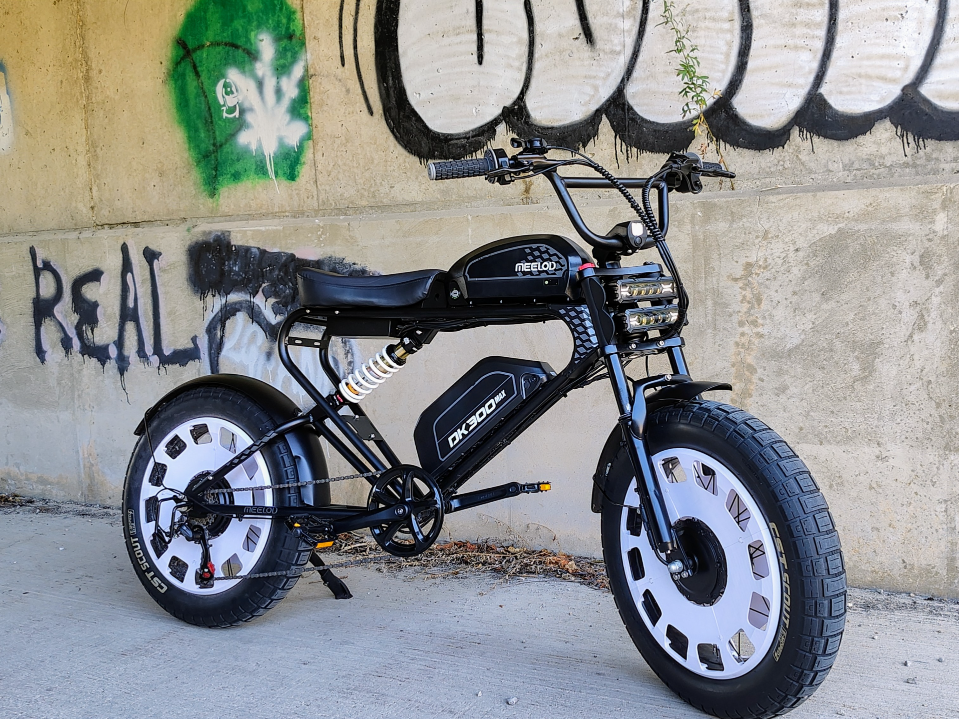 Electric Bike
